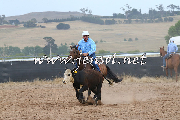BraidwoodCampdraft2014_2590