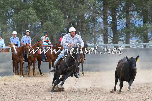 BraidwoodCampdraft2014_2686