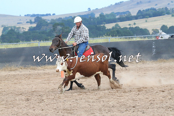 BraidwoodCampdraft2014_2626