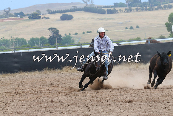 BraidwoodCampdraft2014_2675