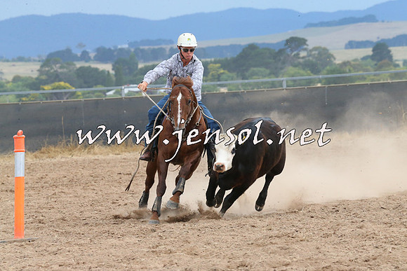 BraidwoodCampdraft2014_2645