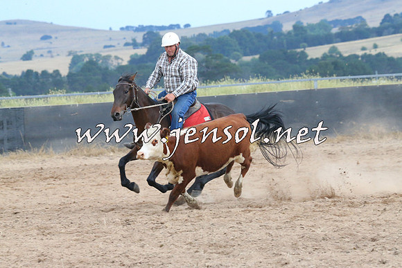 BraidwoodCampdraft2014_2625