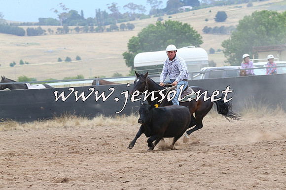 BraidwoodCampdraft2014_2678