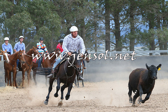BraidwoodCampdraft2014_2688