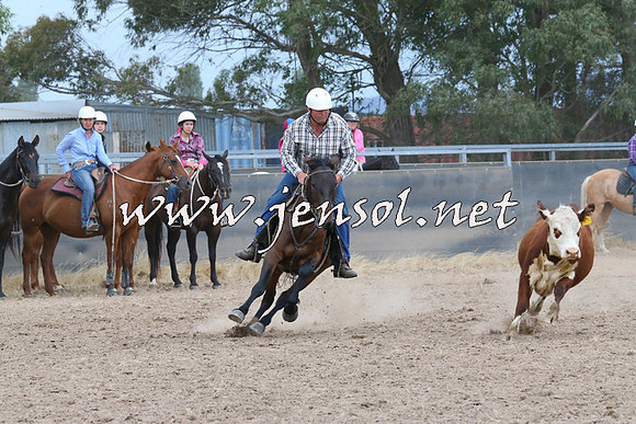 BraidwoodCampdraft2014_2633