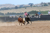 BraidwoodCampdraft2014_2564