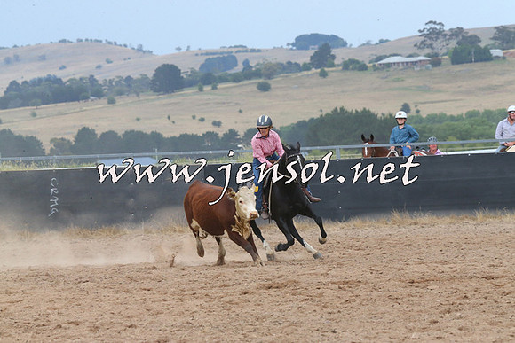 BraidwoodCampdraft2014_2564