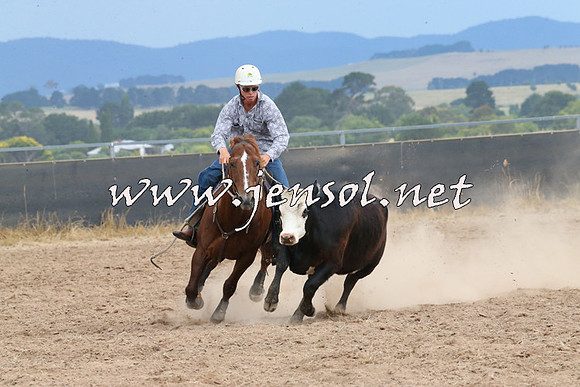 BraidwoodCampdraft2014_2643