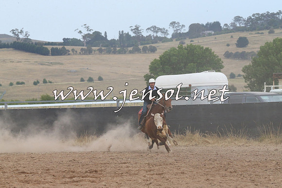 BraidwoodCampdraft2014_2619