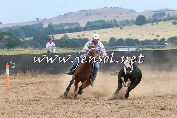 BraidwoodCampdraft2014_2662