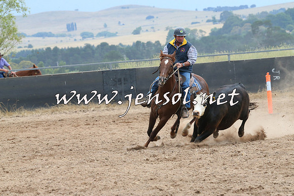 BraidwoodCampdraft2014_2697