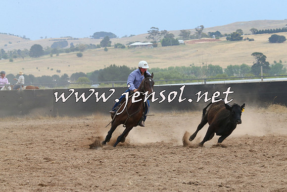BraidwoodCampdraft2014_2714