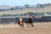 BraidwoodCampdraft2014_2563