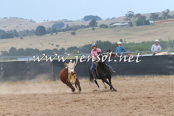 BraidwoodCampdraft2014_2563
