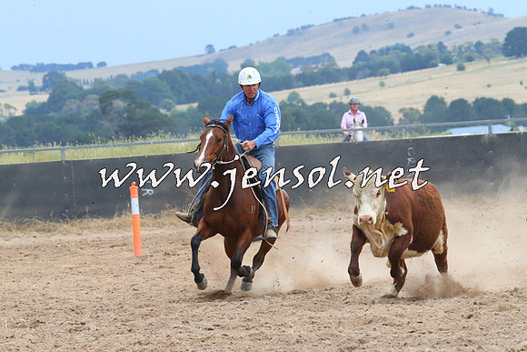 BraidwoodCampdraft2014_2663