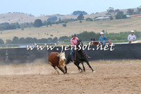 BraidwoodCampdraft2014_2562
