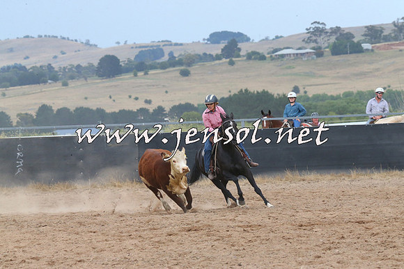 BraidwoodCampdraft2014_2562