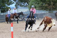 BraidwoodCampdraft2014_2575