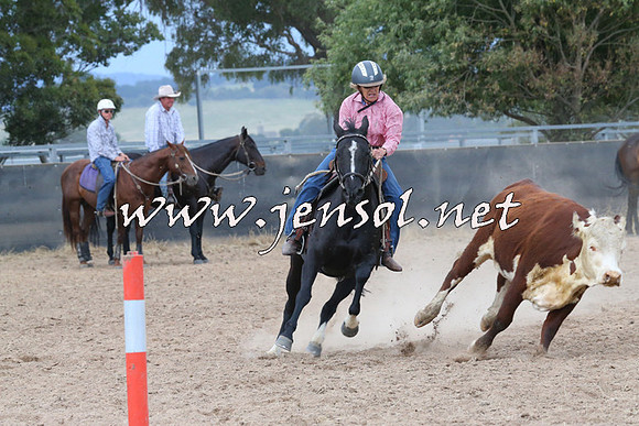 BraidwoodCampdraft2014_2575