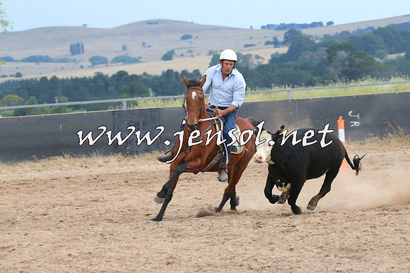 BraidwoodCampdraft2014_2638