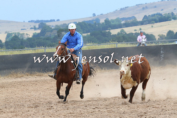 BraidwoodCampdraft2014_2664