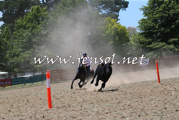 Taralga2015_0958