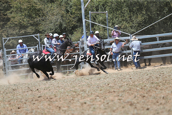 Taralga2015_0947