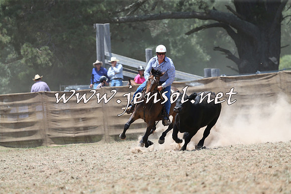 Taralga2015_0897