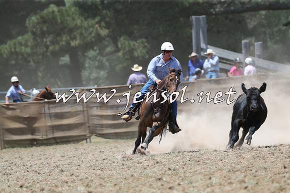 Taralga2015_0902