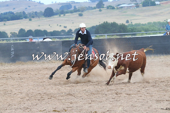 BraidwoodCampdraft2014_2617