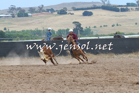BraidwoodCampdraft2014_2652