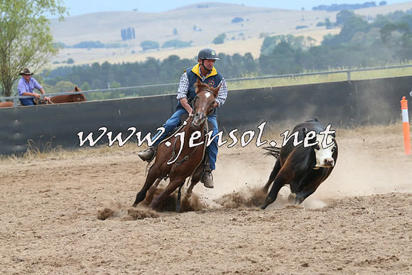 BraidwoodCampdraft2014_2694