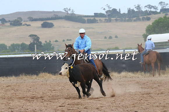 BraidwoodCampdraft2014_2591