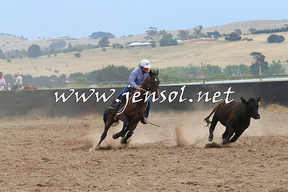 BraidwoodCampdraft2014_2712