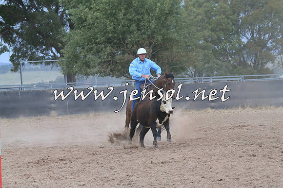 BraidwoodCampdraft2014_2602