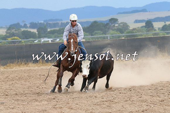 BraidwoodCampdraft2014_2644