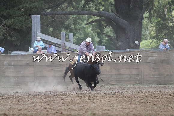 Taralga2015_1071