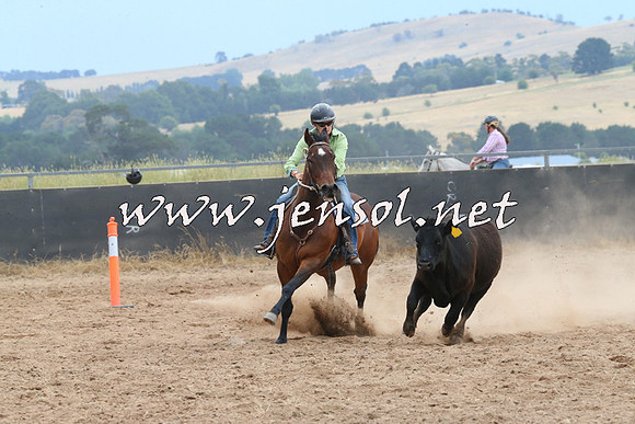 BraidwoodCampdraft2014_2710