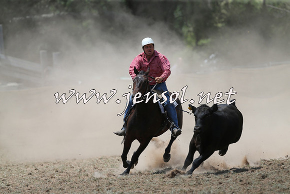 Taralga2015_0825