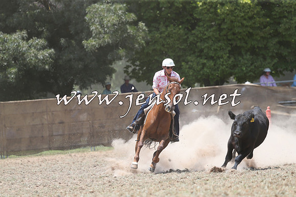 Taralga2015_0885