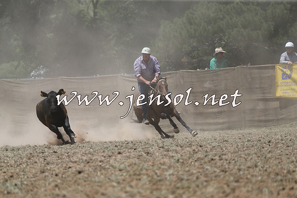 Taralga2015_0862
