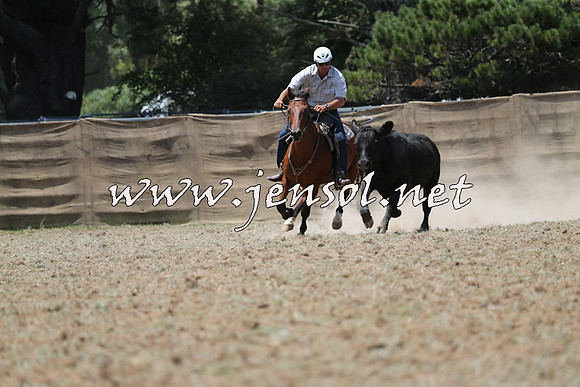 Taralga2015_0730
