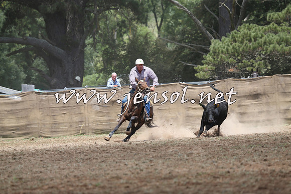 Taralga2015_1067