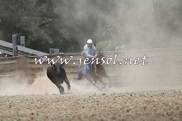Taralga2015_1002