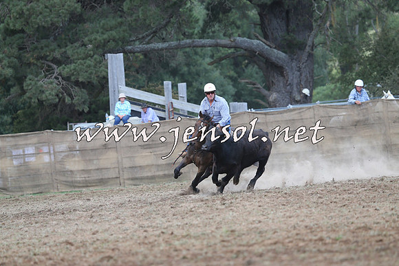 Taralga2015_1053
