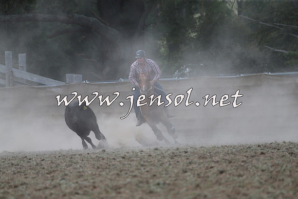 Taralga2015_0841