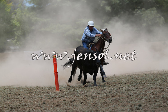 Taralga2015_1012