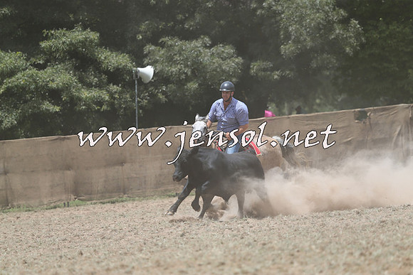 Taralga2015_1024