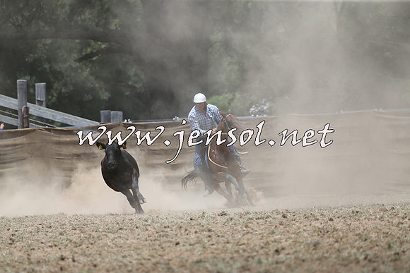 Taralga2015_1004
