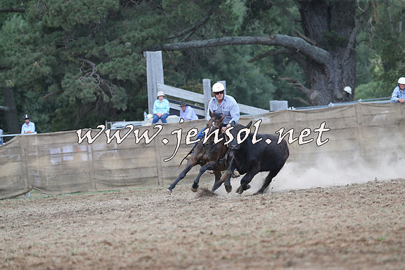 Taralga2015_1055